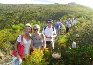 A Blooming good Autumn on The Trail